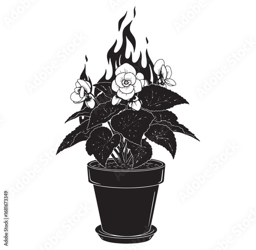 Artistic black and white illustration of a flaming flower pot with plant and fire.