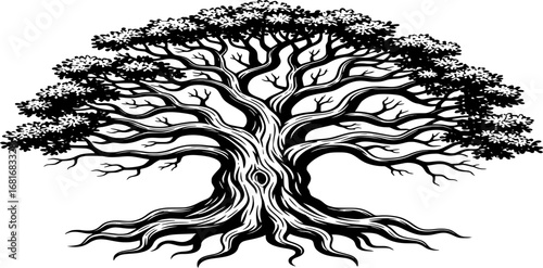 tree with a skull