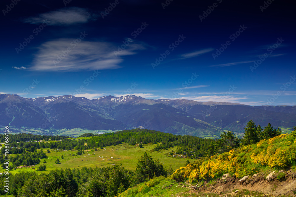 Fototapeta premium Mountain landscape of the Pyrenees in summer in the South of France. Pastures and forests in Font Romeu.