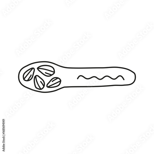 Hand drawn outline sunflower seeds in wooden spoon isolated on white background. Vegan high protein.