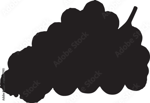 Dramatic Silhouette of a Bunch of Grapes Fresh and Delicious Fruit Symbolizing Harvest and Healthy Eating Dark Monochrome Vector Illustration