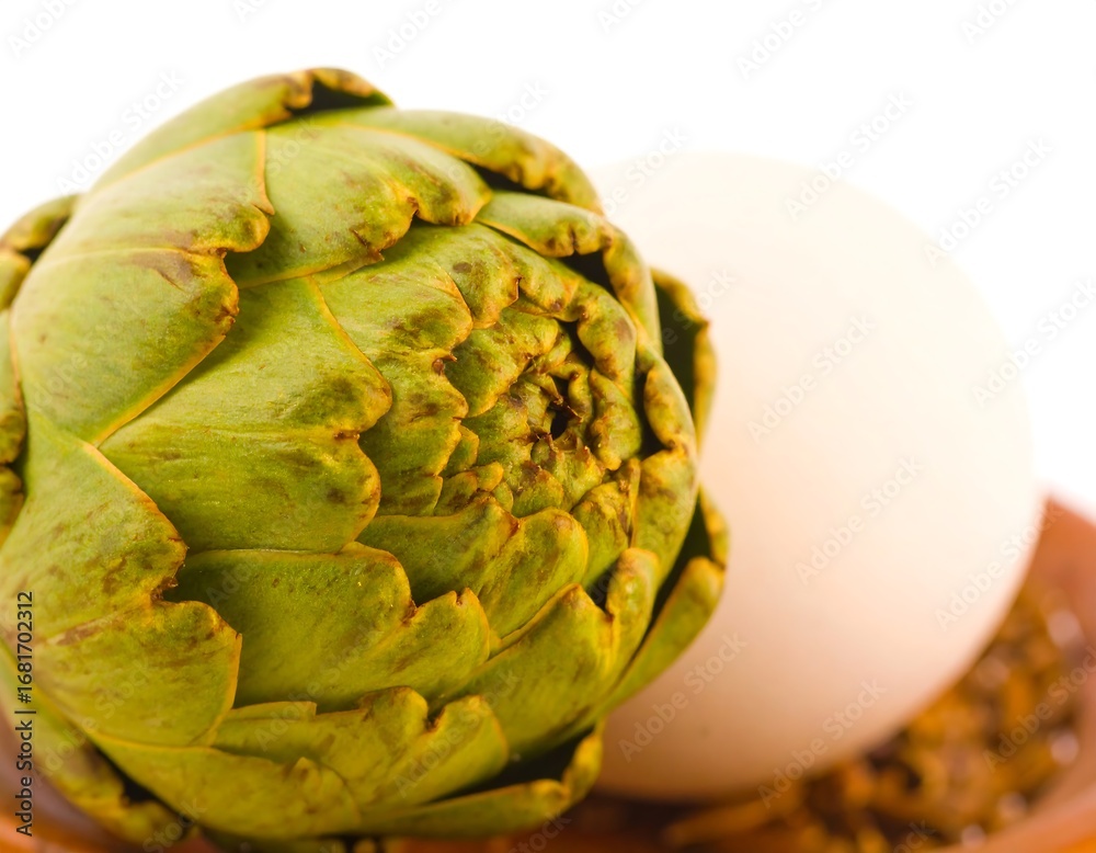 Fototapeta premium Fresh artichoke and egg