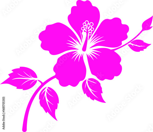 Pink Hibiscus Silhouette: A vibrant pink hibiscus flower silhouette, with its delicate petals and elegant stem, blooms against a backdrop that creates a striking and aesthetically pleasing image.