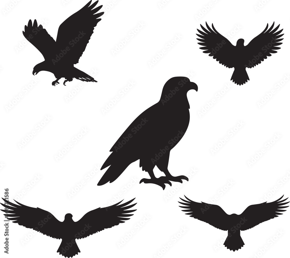 Obraz premium Majestic eagles soaring and perched capturing freedom and power in silhouettes