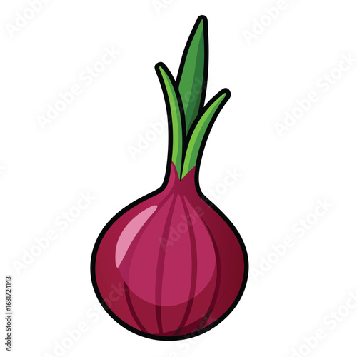 Red onion with green sprouts purple