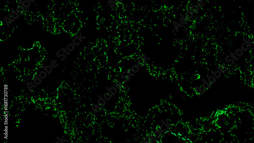 Abstract dark background with glowing neon green fractal texture. Fine, scattered organic lines and subtle patterns. Bioluminescence, or microscopic structures, creating a futuristic, high-tech