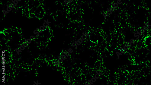 Abstract dark background with glowing neon green fractal texture. Fine, scattered organic lines and subtle patterns. Bioluminescence, or microscopic structures, creating a futuristic, high-tech