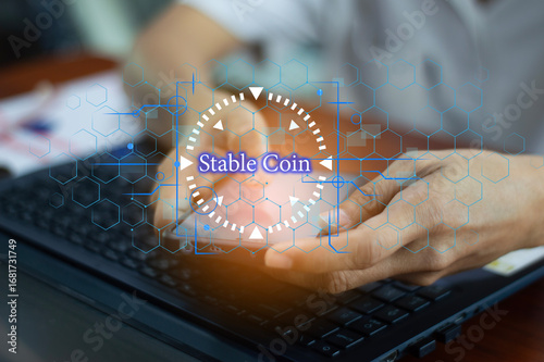 The idea of ​​using stablecoins in the financial system