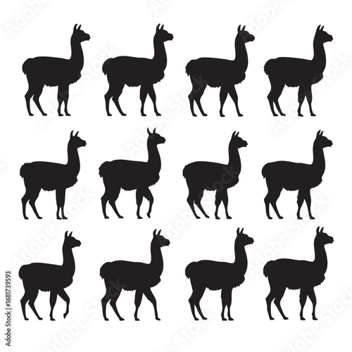 Collection of silhouette llamas and alpacas in various poses for design projects and applications silhouette