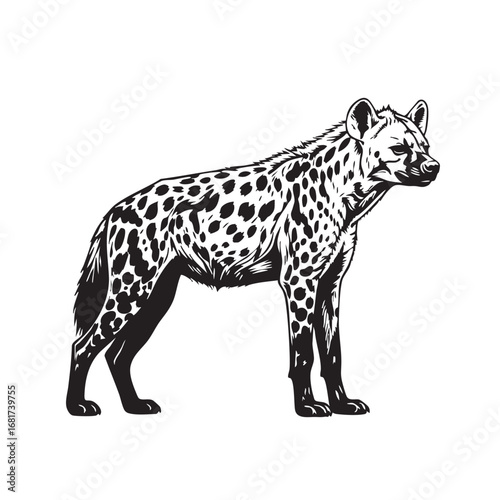 Detailed black and white sketch of a hyena standing side profile with spotted fur silhouette