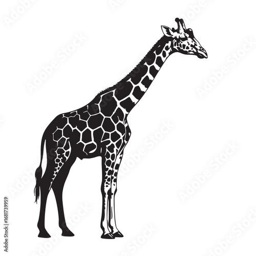 Majestic giraffe standing gracefully with detailed spotted coat and long neck side view silhouette