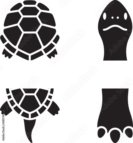 Black and white turtle illustration representing different turtle parts and angles in clean design