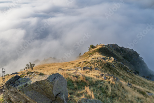 Misty Mountain Morn, The Neck of a Giant