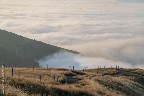 Misty Mountain Morn, wooden Fences