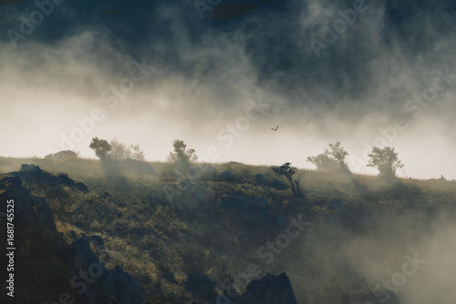 Misty Mountain Morning, Farm in the Distance