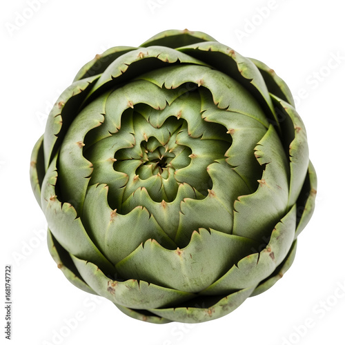 Fresh green artichoke isolated on white background