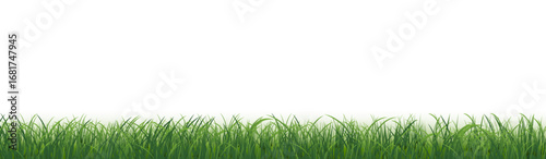 Green Grass Panorama Isolated White Background