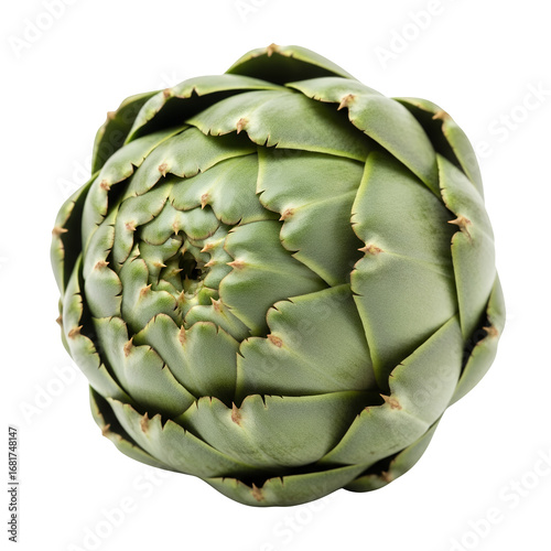 Fresh green artichoke isolated on white background