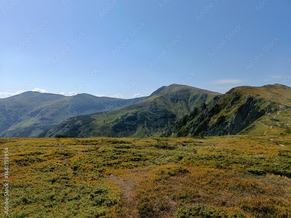 Fototapeta premium Carpathian Ridge under Clear Sky, Ukraine