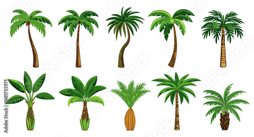 Collection of Tropical Palm Trees: Diverse Styles & Designs