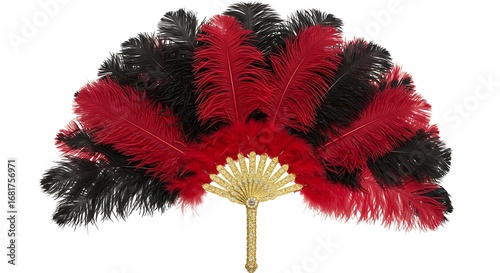 Elegant Red and Black Ostrich Feather Fan.