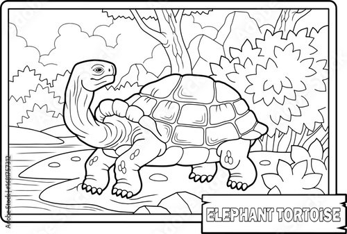 Giant turtle, educational coloring book for kids