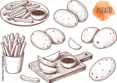 Hand drawn sketch of potatoes and french fries with dipping sauce on a white background