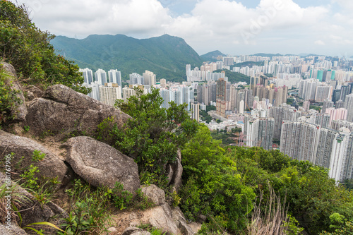 Obraz na plátně View of Hong Kong and Kowloon from Lion Rock Head