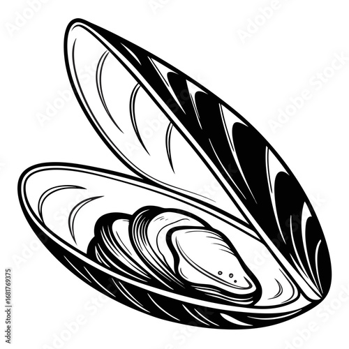 vector illustration of an Snail Vector Illustration
