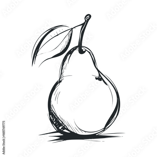 Sketch of a pear with a leaf for creative design projects. Vector illustration