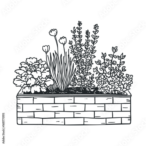 Garden planter with various herbs and flowers for outdoor decor. Vector illustration