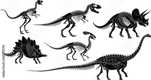 Dinosaur skeletons vector illustration set of various dinosaurs