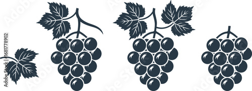 Grapes logo. Isolated grapes on white background