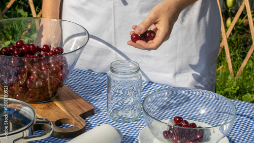A Caucasian person harvests tart cherries in the golden sunlight, perfect for Kirsch Day or a quirky pie jamboree