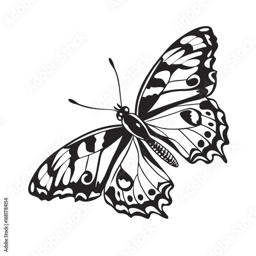 Elegant black and white vector illustration of a butterfly silhouette with intricate geometric cutout patterns, isolated on a white background for design
