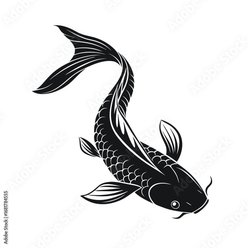 Koi Fish Illustration Graceful Black and White Aquatic Creature