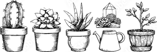 Hand drawn doodle icons set of plant pots and cacti collection