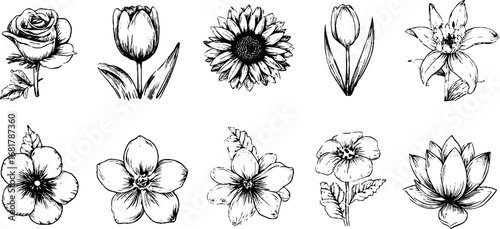 Hand drawn doodle icon set of rose, tulip, daisy, and floral designs for creative projects