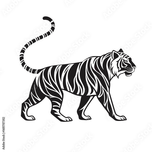 Black and white vector illustration of a majestic tiger walking, a classic tattoo style graphic design element isolated on a clean background