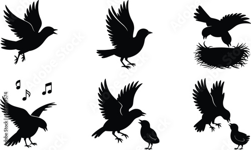 Silhouette bird illustrations flying, singing, feeding chicks in nest, black vector animal design for nature, wildlife, freedom, and decorative artwork