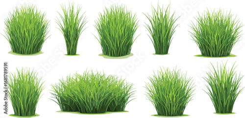 Set of isolated green grass tufts – realistic vector elements for landscape design, garden illustration, or natural outdoor decoration