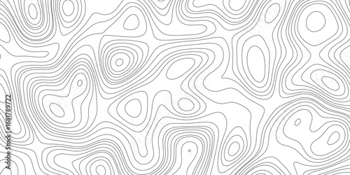 Stylish Abstract Topography-Inspired Background Featuring Contours and Flowing Organic Shapes. 
Contour line abstract background.
