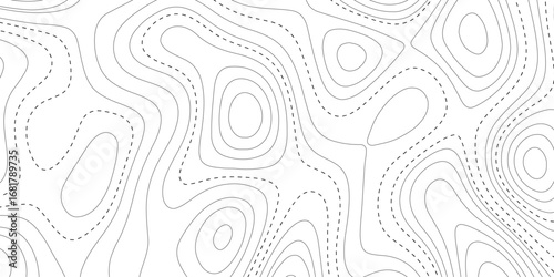 Stylish Abstract Topography-Inspired Background Featuring Contours and Flowing Organic Shapes. 
Contour line abstract background.
