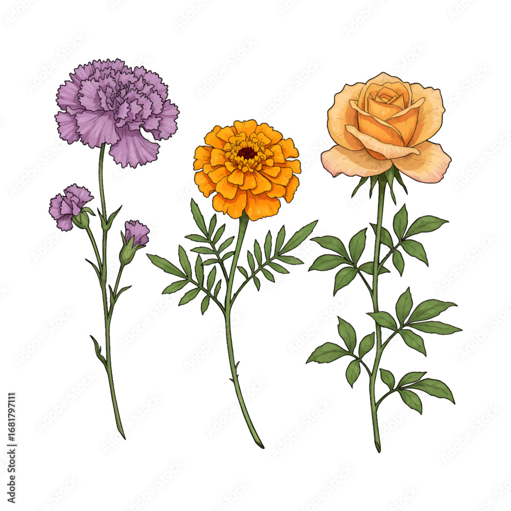 Obraz premium Garden Grace vector style