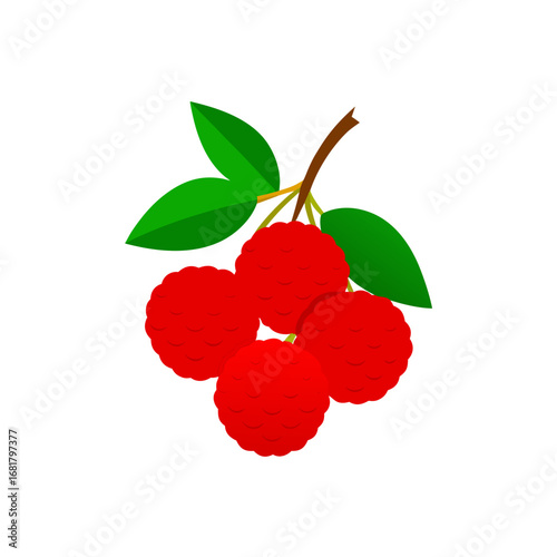 a cluster of ripe lychees hangs from a branch  the