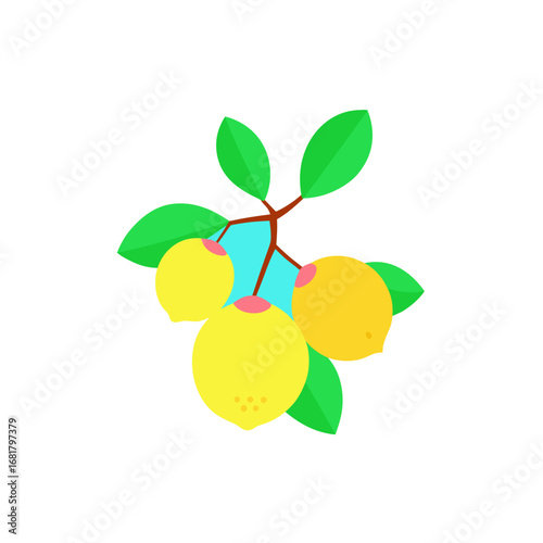 a cluster of four guavas hangs from a tree  most a