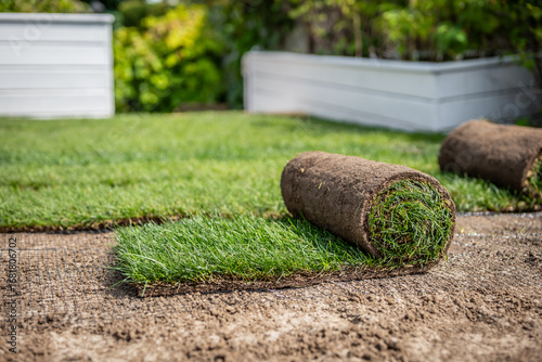 Stack of turf grass for lawn. Roll of sod, turf grass roll.