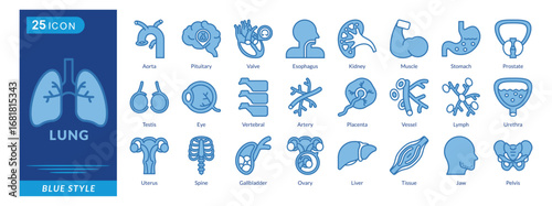 Lung icon set collection in blue style. an icon pack contain Aorta,Pituitary,Valve,Esophagus,Kidney,Muscle,Stomach,Prostate,Testis,Eye,Vertebral