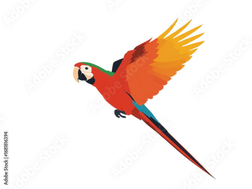 red and yellow macaw