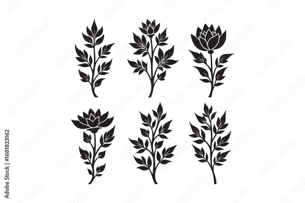 Fototapeta premium Six black silhouette botanical illustrations of flowers and leaves
